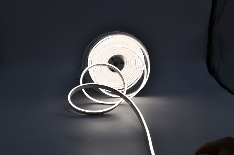 DSC_3859.JPG DSC_3859.JPG