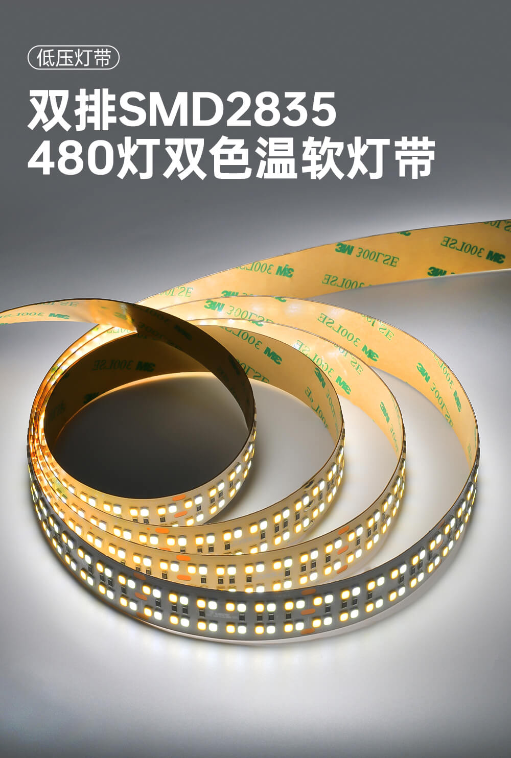 雙排燈帶1 雙排燈帶1