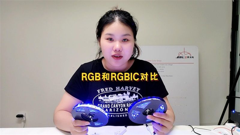 RGB vs RGBIC: 燈帶中的兩大巨頭有什么區別？