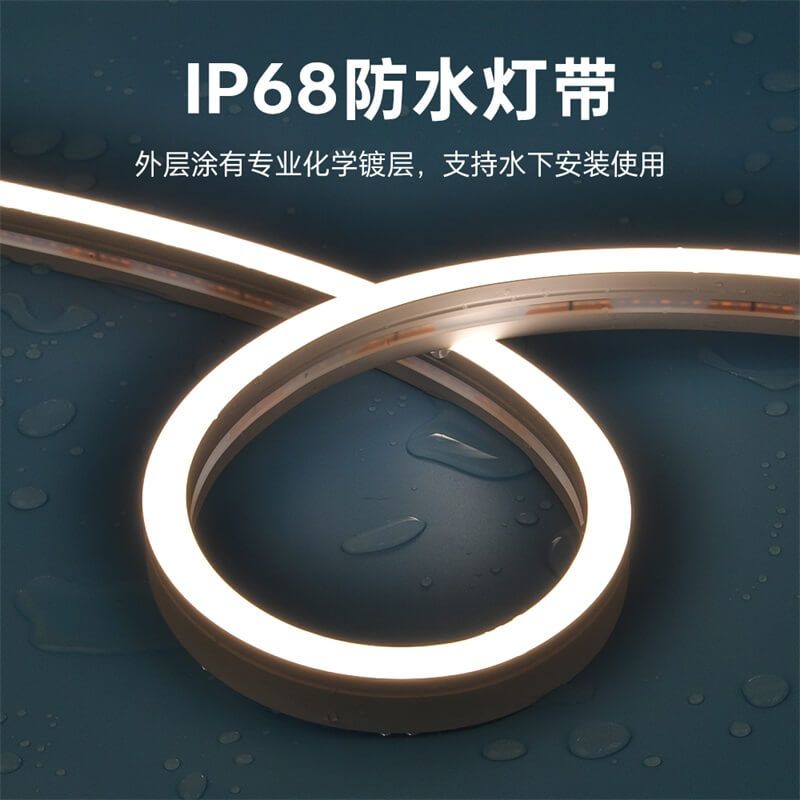 IP68防水燈帶泳池戶外專屬一體注塑成型工藝低壓霓虹燈帶20x12 側發光 - 5